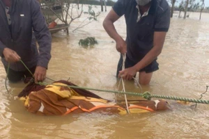 Thừa Thiên - Huế: Phát hiện 1 thi thể trên sông