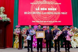 Thừa Thiên - Huế: Không có trường hợp nào xét xử oan