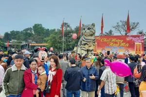 'Miss mèo' Quảng Trị thu hút hàng vạn người đến chụp ảnh