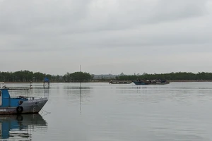 2 vợ chồng đi chài lưới mất tích trên sông ở Quảng Trị