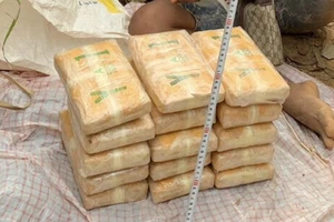 Chở 210.000 viên ma túy trên xe máy thì bị phát hiện