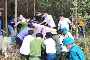 Nữ cựu chiến binh đi viếng nghĩa trang tử vong ở rừng tràm