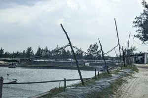 Quảng Trị: Làng yêu cầu chủ hồ tôm không ủng hộ tiền sẽ bị thu hồi đất đã mượn