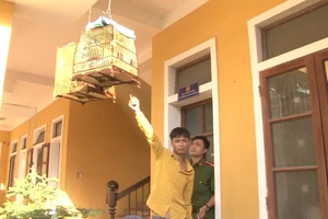 1 con chim, 2 thanh niên bị khởi tố 