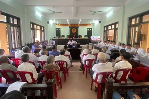 Kê khống mộ giả để trục lợi, 71 người hầu tòa