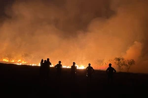 Cháy rừng phòng hộ, cả làng cùng tham gia dập lửa trong ngày nghỉ lễ