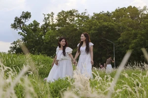 Thiếu nữ đua nhau check-in vườn hoa cỏ tranh xứ Huế