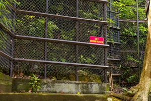 Điện Hòn Chén sạt lở, Chủ tịch tỉnh Thừa Thiên - Huế chỉ đạo các giải pháp ứng phó