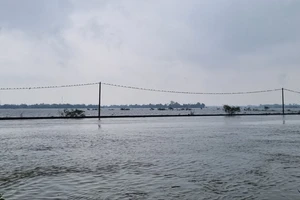 Người đàn ông tử vong khi chèo thuyền đi tìm đàn vịt. Ảnh: ND.