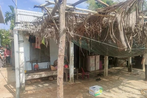 Cháu bé hơn 1 tuổi ở Huế bị trâu húc tử vong