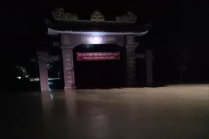 Lũ ở Quảng Trị cuốn trôi đàn bò hơn 50 con ra sông