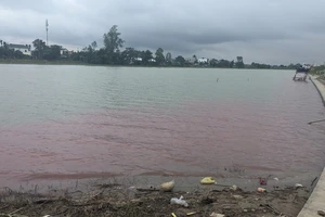Nước sông Hiếu bất ngờ chuyển màu đỏ