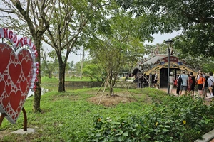  Tranh luận về các điểm check-in ở cầu ngói Thanh Toàn