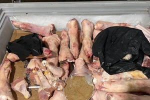 Phát hiện hơn 1 tấn thịt heo, bò không rõ nguồn gốc trong kho thực phẩm