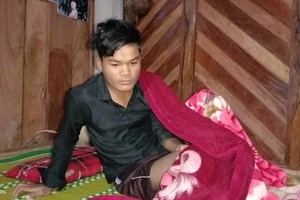 Trâu tấn công khiến 1 người chết, 1 người bị thương