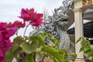 'Cha đẻ của hoa hậu mèo' sắp trình làng linh vật rồng