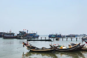 Ngư dân không thể ra khơi do thiết bị giám sát hành trình mất kết nối