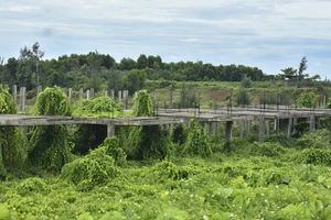 Quảng Trị gia hạn tiến độ dự án đô thị sinh thái biển gần 500 tỉ đồng 