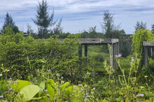 Cỏ cây phủ kín dự án khu đô thị sinh thái biển gần 500 tỉ