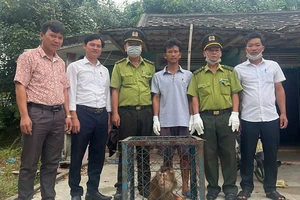 Phát hiện động vật quý hiếm trong vườn nhà, người đàn ông giao nộp cho kiểm lâm