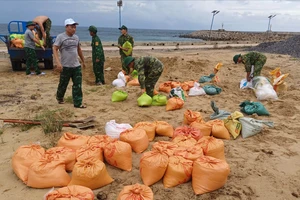 Huyện đảo Cồn Cỏ khẩn trương ứng phó với áp thấp nhiệt đới