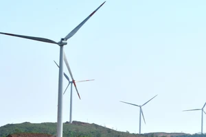 Yêu cầu xử lý các dự án điện gió xây lấn chiếm đất rừng