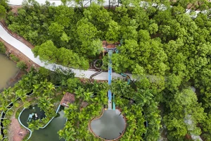 Cận cảnh công viên nước 'ma mị' ở Huế đang được chỉnh trang