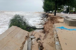 Sạt lở bất thường ở cửa biển Hòa Duân - 'điểm nóng' trong trận lũ 1999