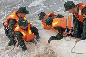 300 người đội mưa khẩn trương gia cố khẩn cấp bờ biển ở Thừa Thiên Huế