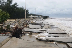 Bờ biển miền Trung bị hư hỏng nặng sau bão Trà Mi