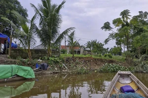 Bờ sông bị sạt lở uy hiếp nhiều nhà dân ở Quảng Trị