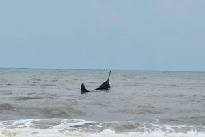 1 giờ vật lộn với sóng dữ, cứu 3 ngư dân chìm thuyền ở Quảng Trị