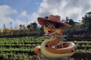 Linh vật rắn của nghệ nhân Quảng Trị lại 'gây sốt' 