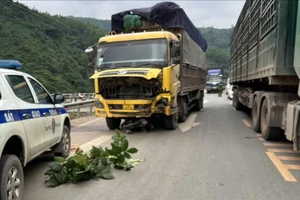 2 thiếu niên tử vong sau khi đâm vào xe tải