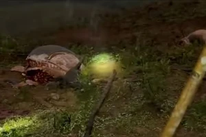 Tạm giữ 6 người nghi đã trộm 6 con trâu xẻ thịt bán dịp Tết