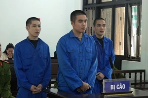 Quen nhau trong tù, ngựa quen đường cũ