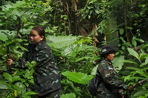 Những sơn nữ giữ rừng Trường Sơn