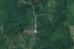 Đi đến nhà bạn theo Google maps, nữ sinh bị lạc vào sâu trong rừng