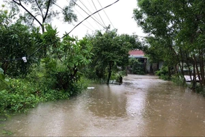 Trên đường đi giúp con chống lũ, người cha bị điện giật tử vong