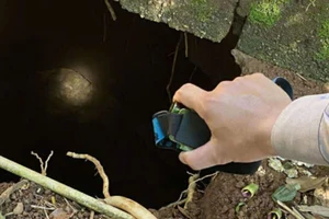 Phát hiện hố "tử thần' sâu hoắm trong vườn nhà dân ở Quảng Trị