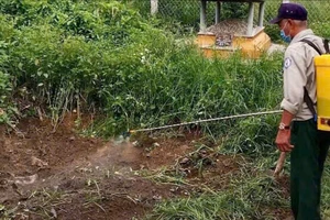 Huế: Kiểm tra đột xuất lò mổ, phát hiện 2 con lợn nhiều chấm đỏ nghi bệnh