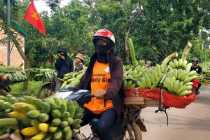 Sau vụ xe tải tông 3 người chết: Hàng trăm nông dân được đưa đến điểm bán chuối an toàn