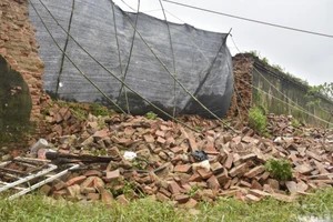 Khẩn cấp khắc phục đoạn tường Hoàng Thành ở Huế bị sập