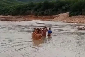 Quảng Trị: Hơn 20 người xuyên đêm khiêng võng, vượt lũ đưa sản phụ đi sinh