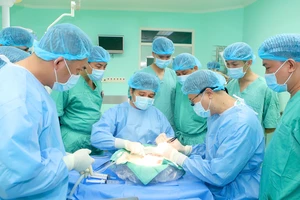 4 cuộc đời được tái sinh từ ghép tạng và kỹ thuật ghép tủy đặc biệt