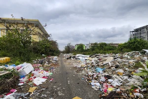 Rác bủa vây khu quy hoạch Đại học Huế