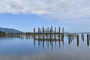 'Tuyệt tình cốc' xứ Huế bị những hàng cọc bê tông đâm nát