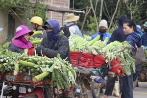 Sầm uất phiên chợ chuối mật mốc tại biên giới Quảng Trị dịp Tết
