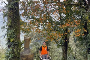 Sắc xuân mê hoặc lòng người trên đỉnh Bạch Mã