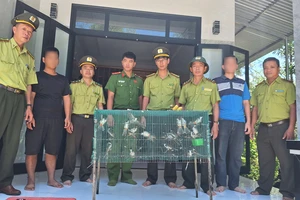 845 con chim được đăng ký 'hộ khẩu' ở TP Huế